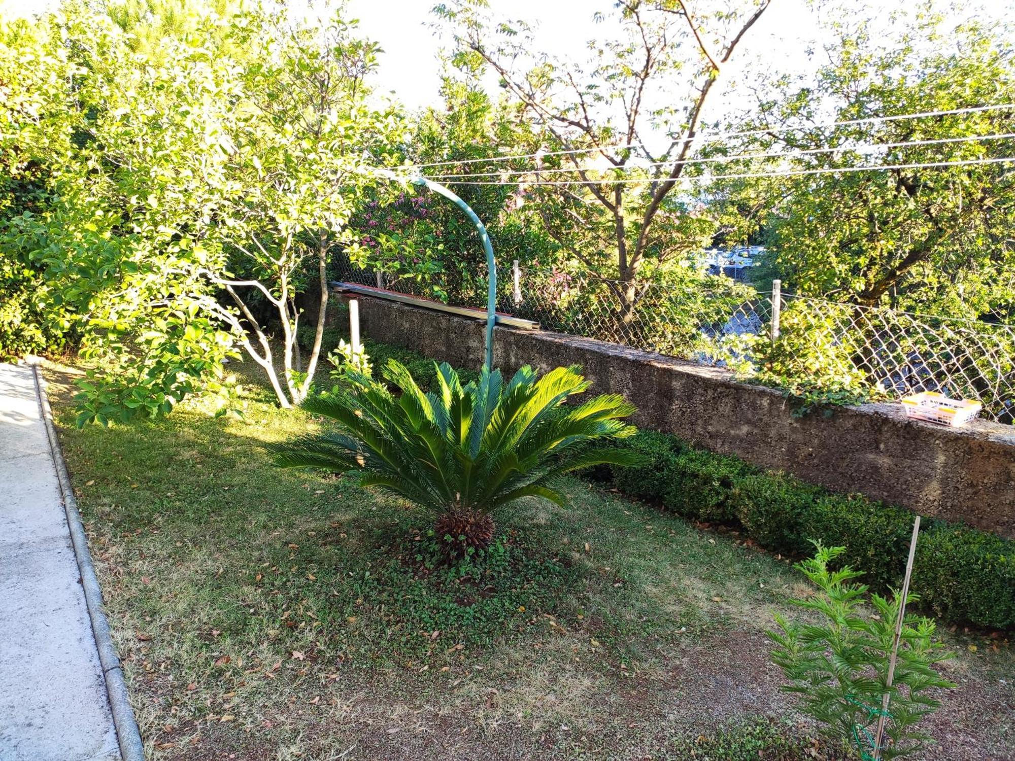 Apartment With Private Garden And The Terrace Ev Station Available Crikvenica Exterior foto
